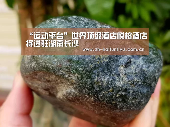 运动平台