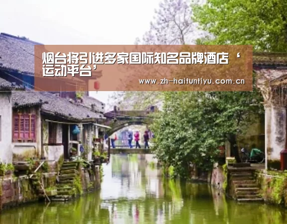 海豚体育